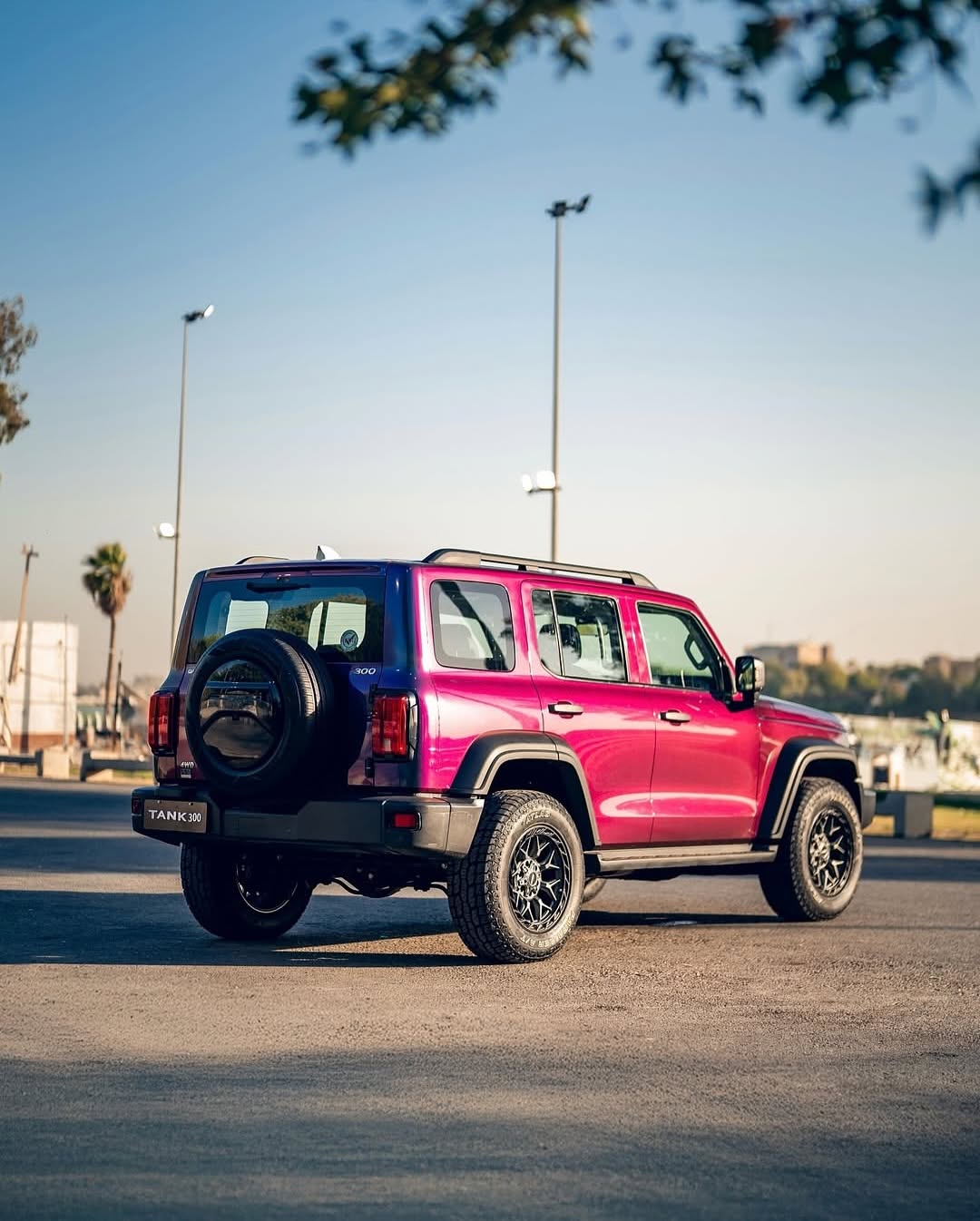 For the First Time in Iraq: Your Car, Your Color by GWM